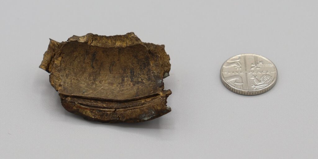 AA Shell Shrapnel