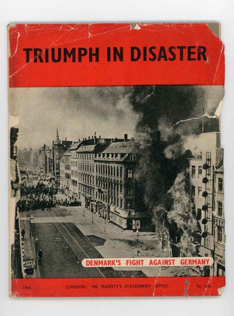 Triumph in Disaster Book