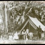 Group of people in tent in jungle