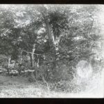 View of the entrance to a wooden bridge