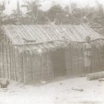 A small wooden shack with a chicken in front