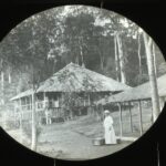 A raised single-storey house on a hillside with veranda