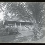 A raised single-storey straw-roofed house