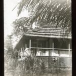 A raised single-storey straw-roofed house