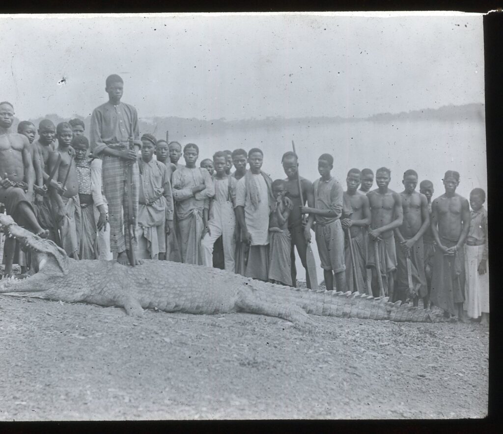 A group of locals gathered around a large crocodile which has been killed