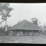 A single-storey straw-roofed house with a veranda