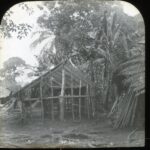 View of a small house being built, currently a wooden frame under jungle trees