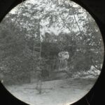 An anchored paddle steamer viewed through riverside trees