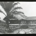 A raised single-storey straw-roofed house