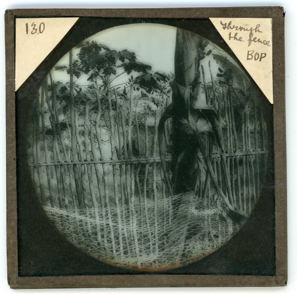 View through a crude wooden fence