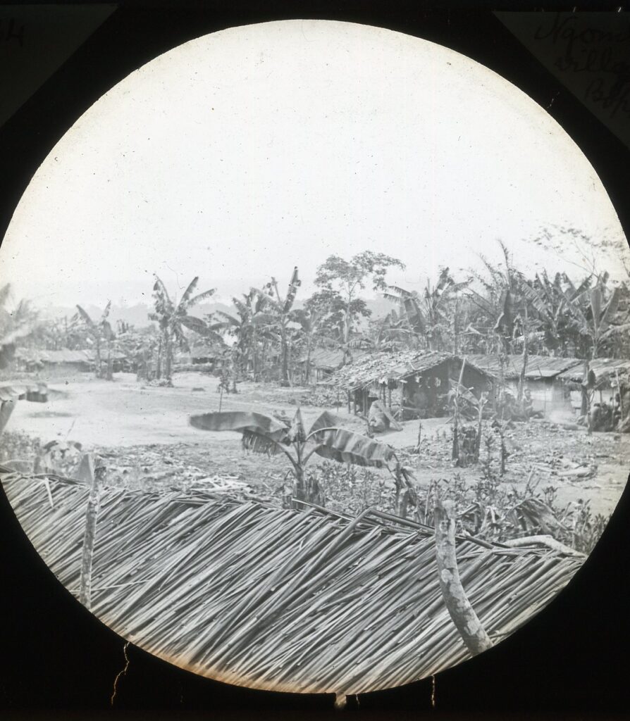 Wide view of the village of Ngombe, with huts and yards