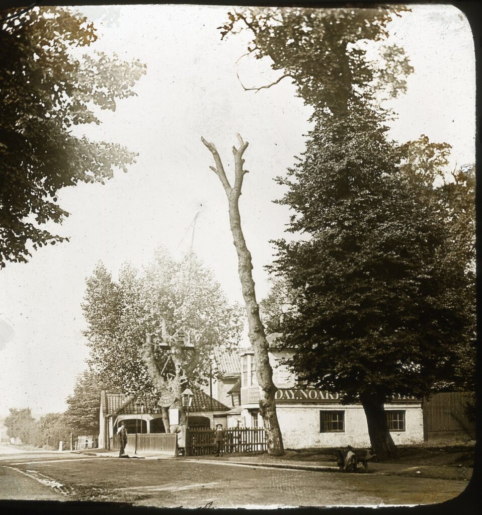 Slide showing a tree-lined avenue with pub and beer garden