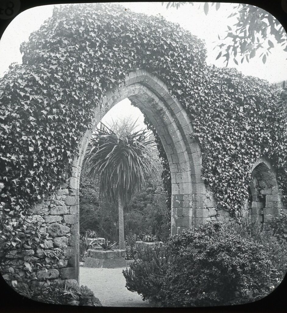 Slide showing a view of a palm tree through an overgrown arched portal
