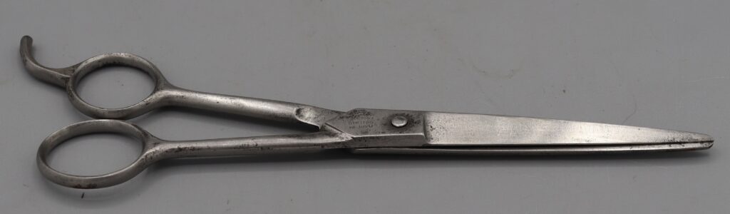 A pair of hairdressers scissors, shown in closed position